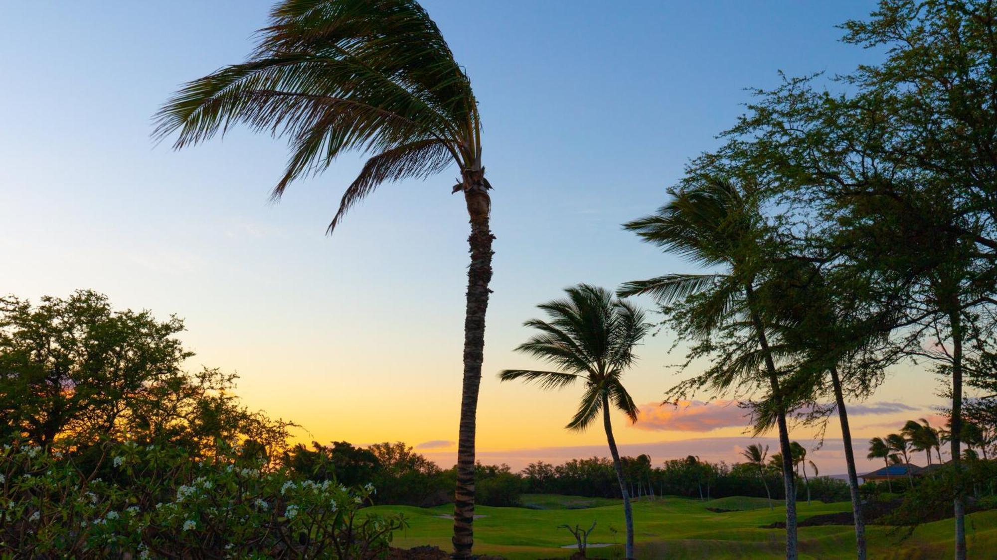 Hawaii Roma Elevated 4Br Kamilo Home With Golf Course View Waikoloa Eksteriør bilde