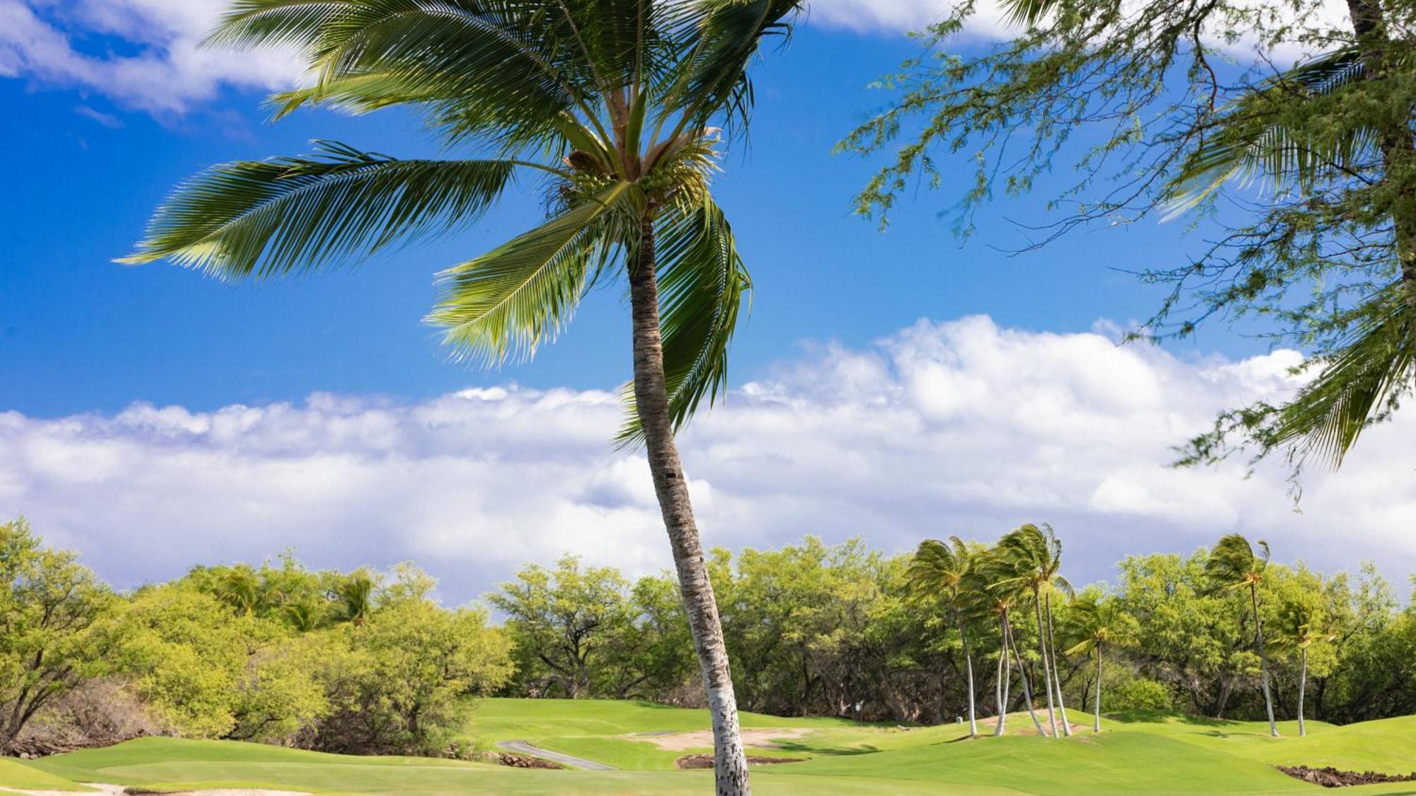 Hawaii Roma Elevated 4Br Kamilo Home With Golf Course View Waikoloa Eksteriør bilde