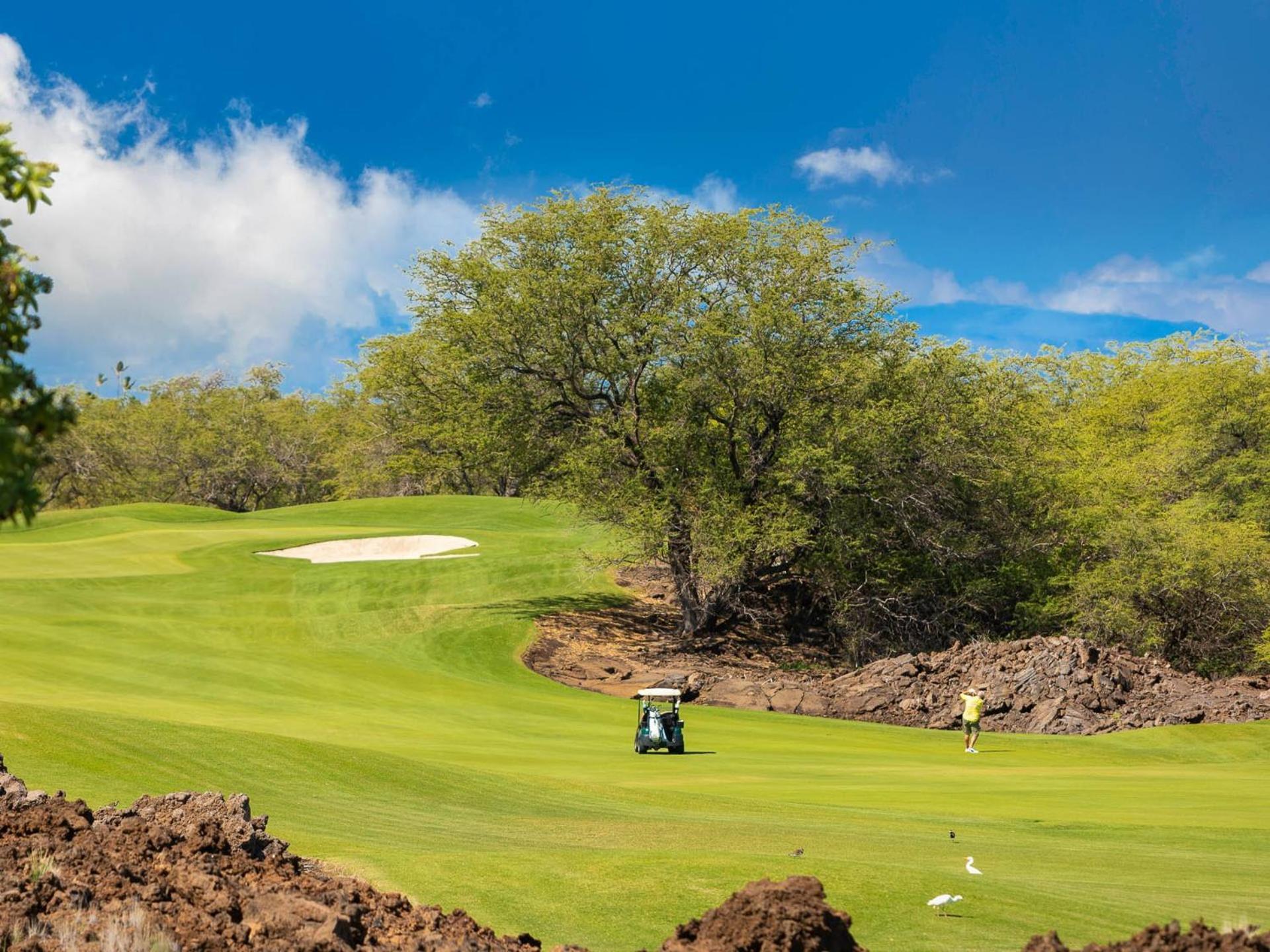 Hawaii Roma Elevated 4Br Kamilo Home With Golf Course View Waikoloa Eksteriør bilde